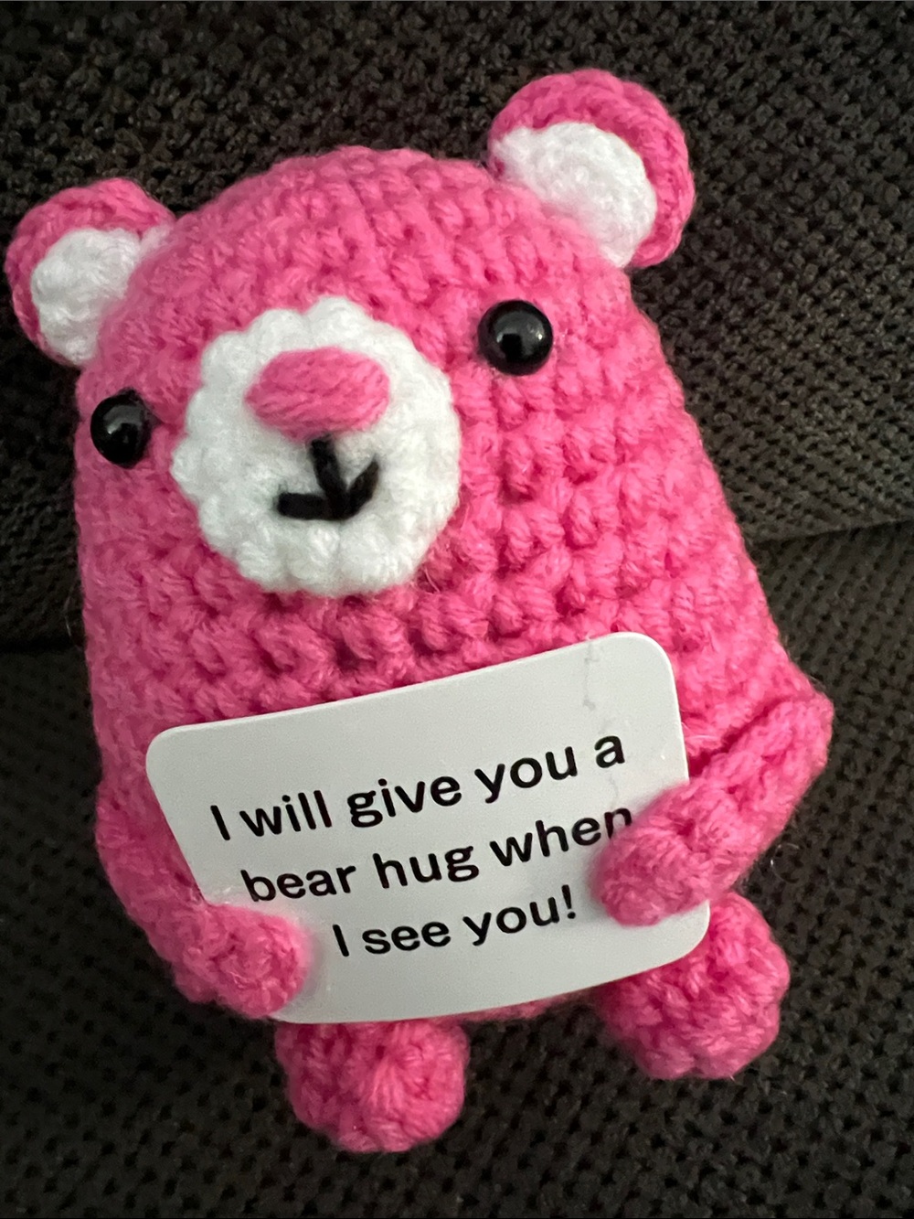 Handmade Pink Crochet Bear Plush
